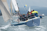 prime cut gbr3709 whyw16 fri 800 5366w